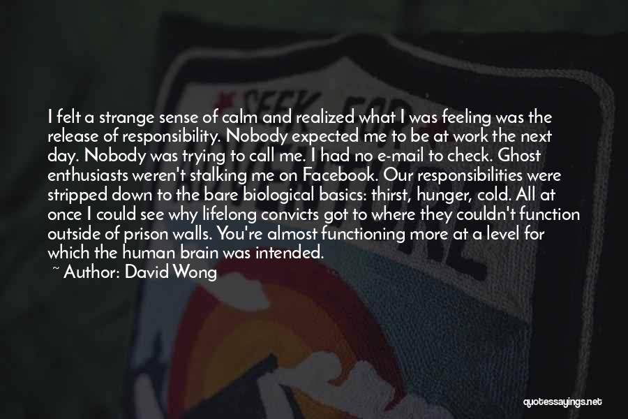 David Wong Quotes: I Felt A Strange Sense Of Calm And Realized What I Was Feeling Was The Release Of Responsibility. Nobody Expected