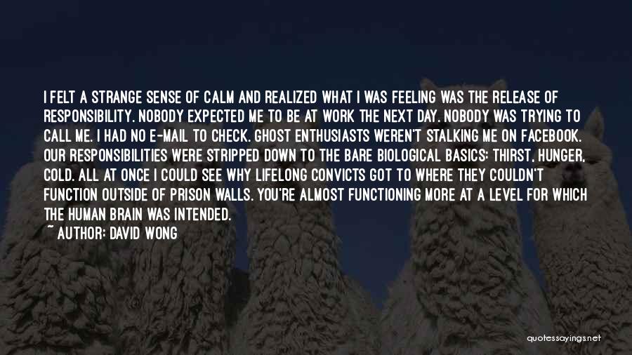 David Wong Quotes: I Felt A Strange Sense Of Calm And Realized What I Was Feeling Was The Release Of Responsibility. Nobody Expected