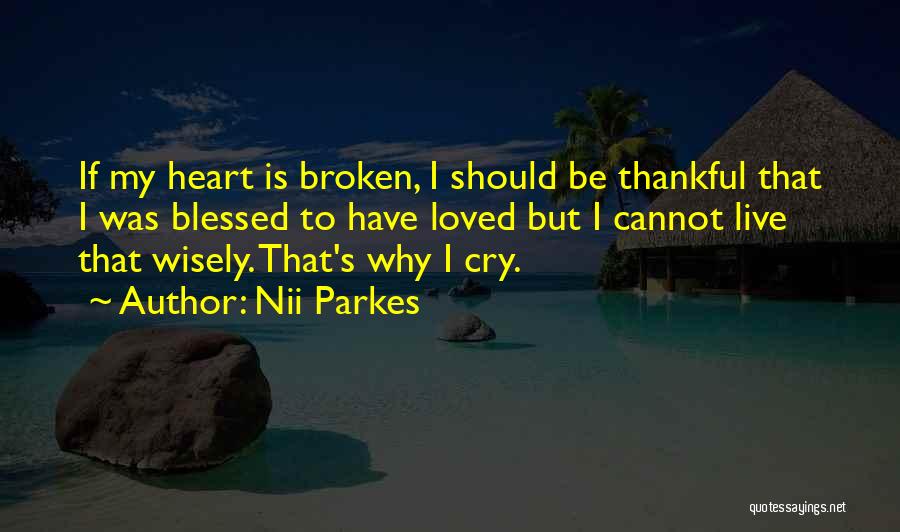 Nii Parkes Quotes: If My Heart Is Broken, I Should Be Thankful That I Was Blessed To Have Loved But I Cannot Live