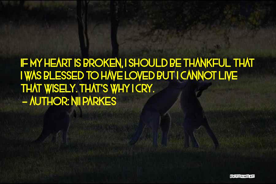 Nii Parkes Quotes: If My Heart Is Broken, I Should Be Thankful That I Was Blessed To Have Loved But I Cannot Live