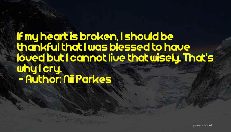 Nii Parkes Quotes: If My Heart Is Broken, I Should Be Thankful That I Was Blessed To Have Loved But I Cannot Live