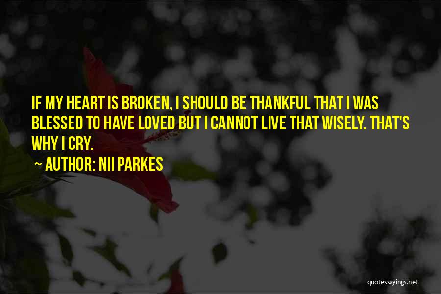 Nii Parkes Quotes: If My Heart Is Broken, I Should Be Thankful That I Was Blessed To Have Loved But I Cannot Live