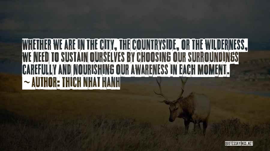Thich Nhat Hanh Quotes: Whether We Are In The City, The Countryside, Or The Wilderness, We Need To Sustain Ourselves By Choosing Our Surroundings