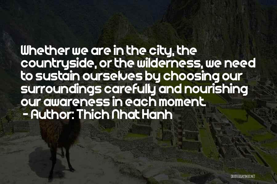 Thich Nhat Hanh Quotes: Whether We Are In The City, The Countryside, Or The Wilderness, We Need To Sustain Ourselves By Choosing Our Surroundings