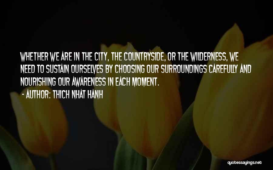 Thich Nhat Hanh Quotes: Whether We Are In The City, The Countryside, Or The Wilderness, We Need To Sustain Ourselves By Choosing Our Surroundings