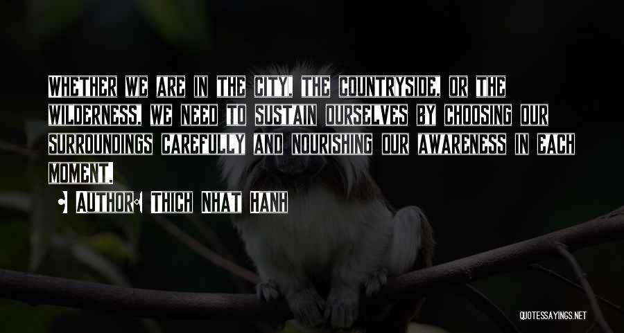 Thich Nhat Hanh Quotes: Whether We Are In The City, The Countryside, Or The Wilderness, We Need To Sustain Ourselves By Choosing Our Surroundings