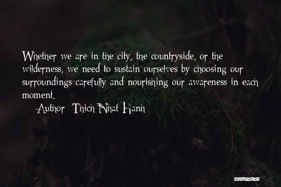 Thich Nhat Hanh Quotes: Whether We Are In The City, The Countryside, Or The Wilderness, We Need To Sustain Ourselves By Choosing Our Surroundings