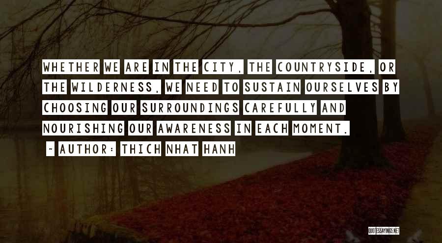 Thich Nhat Hanh Quotes: Whether We Are In The City, The Countryside, Or The Wilderness, We Need To Sustain Ourselves By Choosing Our Surroundings