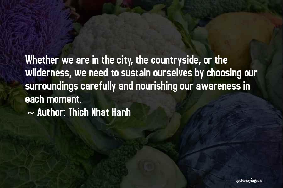Thich Nhat Hanh Quotes: Whether We Are In The City, The Countryside, Or The Wilderness, We Need To Sustain Ourselves By Choosing Our Surroundings
