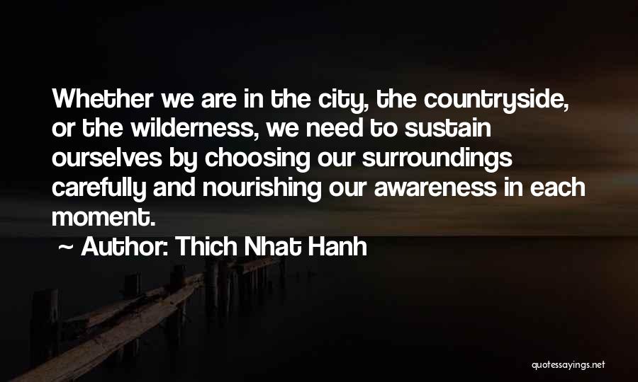 Thich Nhat Hanh Quotes: Whether We Are In The City, The Countryside, Or The Wilderness, We Need To Sustain Ourselves By Choosing Our Surroundings