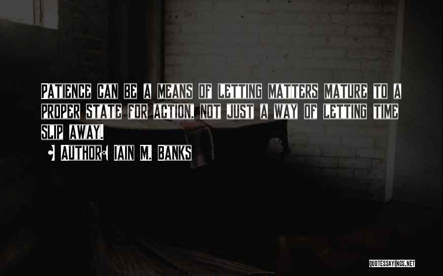 Iain M. Banks Quotes: Patience Can Be A Means Of Letting Matters Mature To A Proper State For Action, Not Just A Way Of