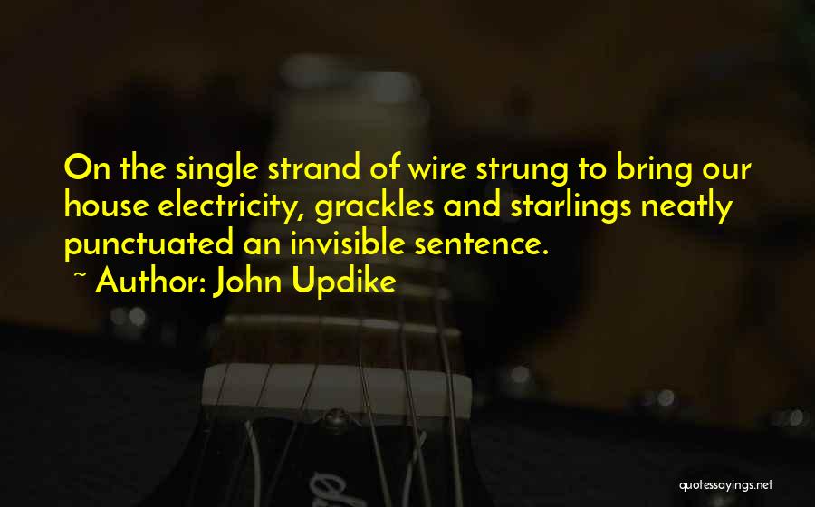 John Updike Quotes: On The Single Strand Of Wire Strung To Bring Our House Electricity, Grackles And Starlings Neatly Punctuated An Invisible Sentence.