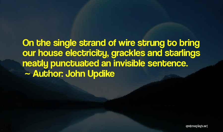 John Updike Quotes: On The Single Strand Of Wire Strung To Bring Our House Electricity, Grackles And Starlings Neatly Punctuated An Invisible Sentence.