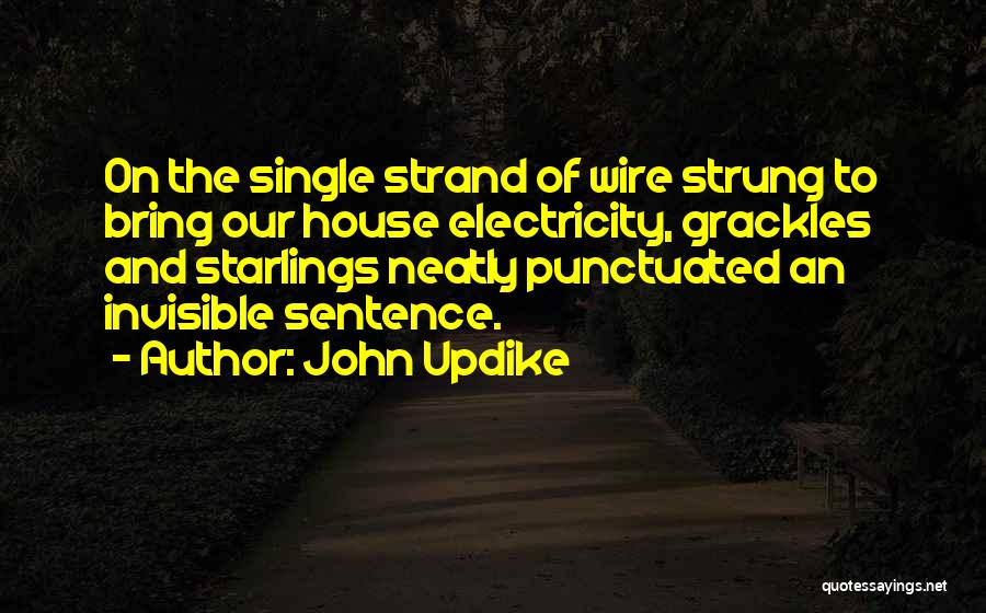 John Updike Quotes: On The Single Strand Of Wire Strung To Bring Our House Electricity, Grackles And Starlings Neatly Punctuated An Invisible Sentence.