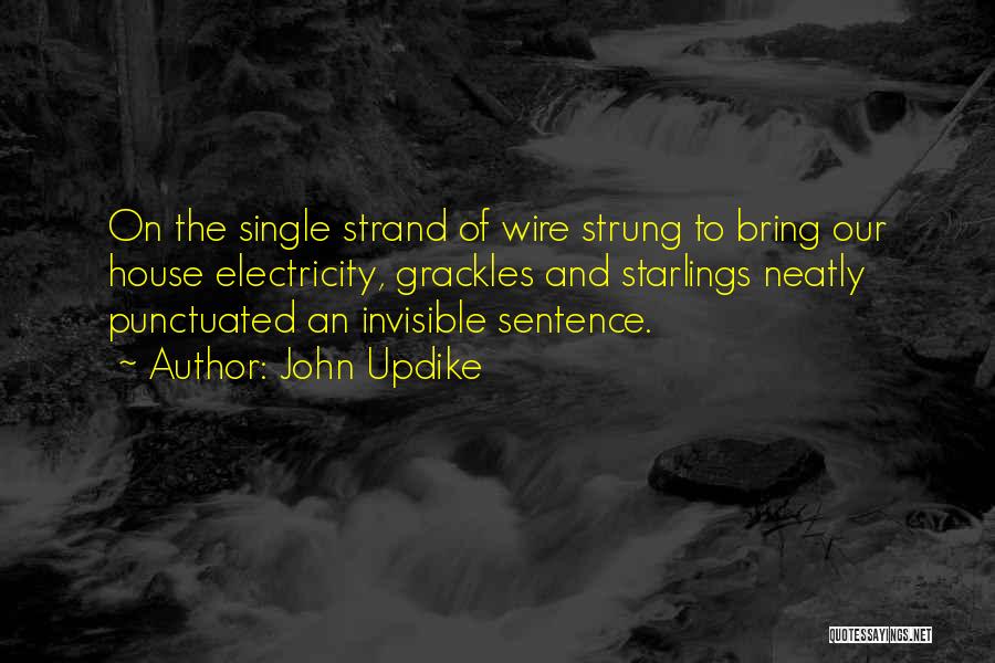 John Updike Quotes: On The Single Strand Of Wire Strung To Bring Our House Electricity, Grackles And Starlings Neatly Punctuated An Invisible Sentence.