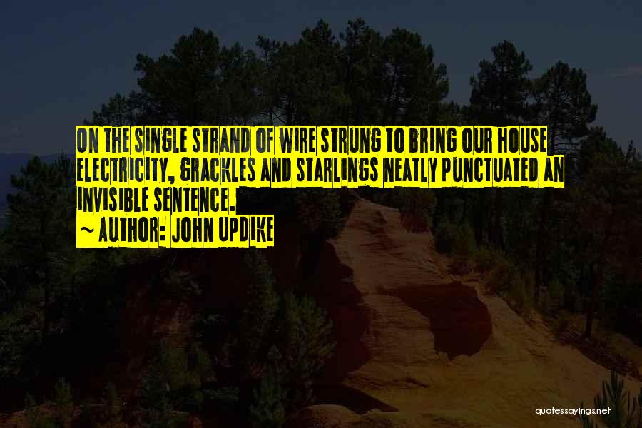 John Updike Quotes: On The Single Strand Of Wire Strung To Bring Our House Electricity, Grackles And Starlings Neatly Punctuated An Invisible Sentence.