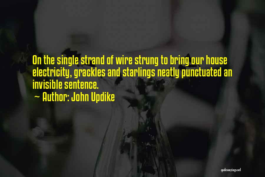 John Updike Quotes: On The Single Strand Of Wire Strung To Bring Our House Electricity, Grackles And Starlings Neatly Punctuated An Invisible Sentence.