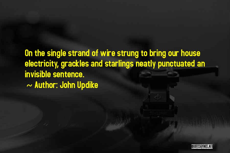 John Updike Quotes: On The Single Strand Of Wire Strung To Bring Our House Electricity, Grackles And Starlings Neatly Punctuated An Invisible Sentence.