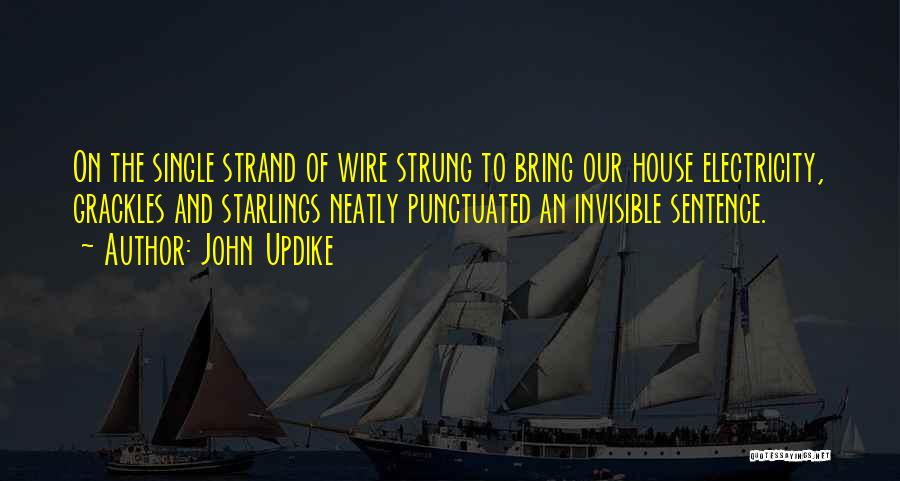 John Updike Quotes: On The Single Strand Of Wire Strung To Bring Our House Electricity, Grackles And Starlings Neatly Punctuated An Invisible Sentence.