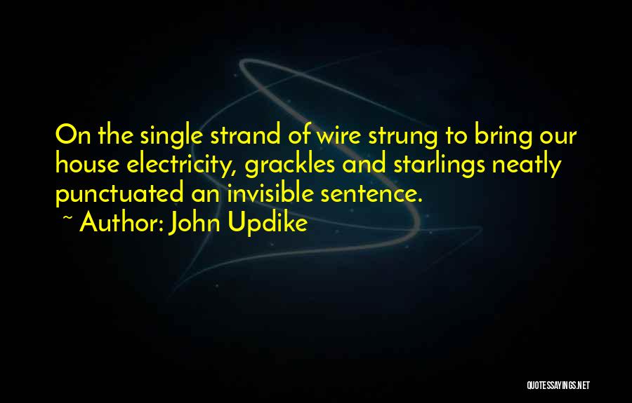 John Updike Quotes: On The Single Strand Of Wire Strung To Bring Our House Electricity, Grackles And Starlings Neatly Punctuated An Invisible Sentence.