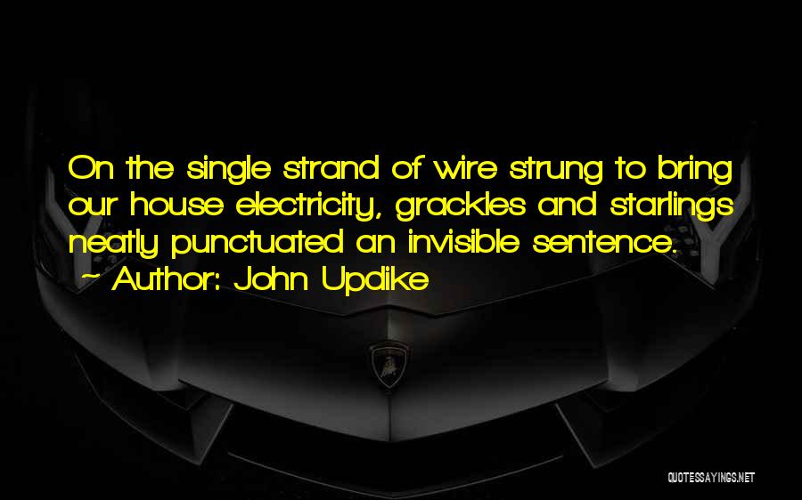 John Updike Quotes: On The Single Strand Of Wire Strung To Bring Our House Electricity, Grackles And Starlings Neatly Punctuated An Invisible Sentence.