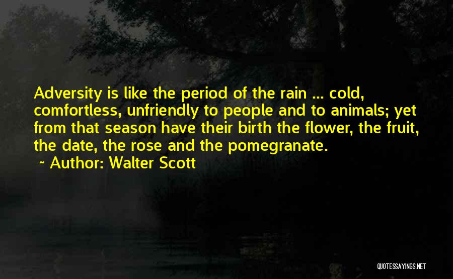 Walter Scott Quotes: Adversity Is Like The Period Of The Rain ... Cold, Comfortless, Unfriendly To People And To Animals; Yet From That