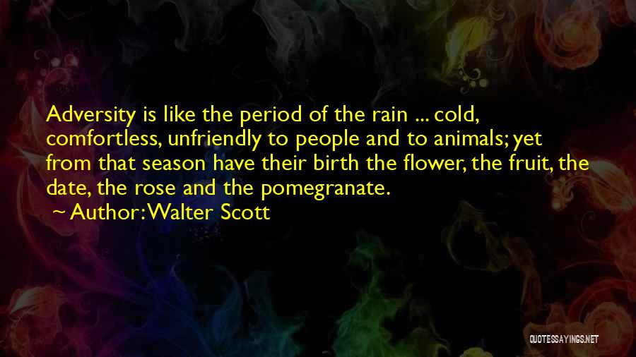 Walter Scott Quotes: Adversity Is Like The Period Of The Rain ... Cold, Comfortless, Unfriendly To People And To Animals; Yet From That