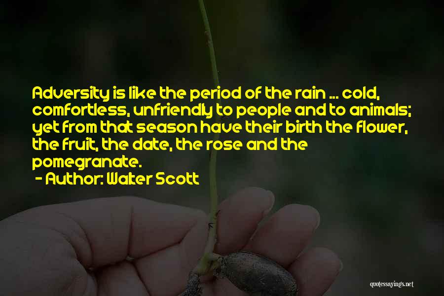 Walter Scott Quotes: Adversity Is Like The Period Of The Rain ... Cold, Comfortless, Unfriendly To People And To Animals; Yet From That