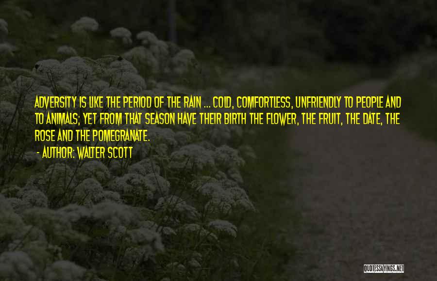 Walter Scott Quotes: Adversity Is Like The Period Of The Rain ... Cold, Comfortless, Unfriendly To People And To Animals; Yet From That
