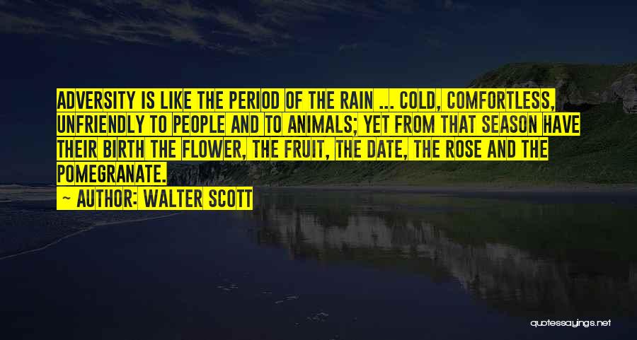 Walter Scott Quotes: Adversity Is Like The Period Of The Rain ... Cold, Comfortless, Unfriendly To People And To Animals; Yet From That