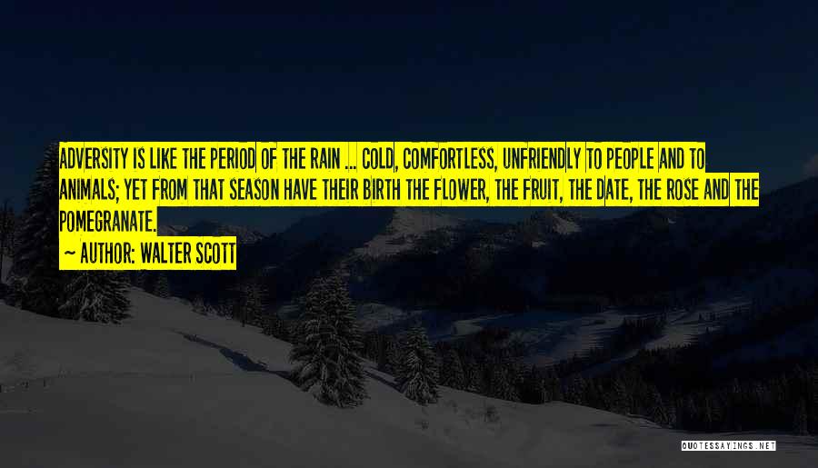 Walter Scott Quotes: Adversity Is Like The Period Of The Rain ... Cold, Comfortless, Unfriendly To People And To Animals; Yet From That