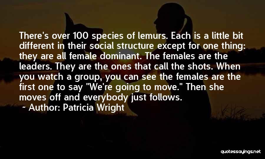 Patricia Wright Quotes: There's Over 100 Species Of Lemurs. Each Is A Little Bit Different In Their Social Structure Except For One Thing: