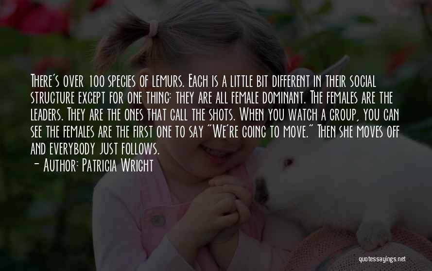 Patricia Wright Quotes: There's Over 100 Species Of Lemurs. Each Is A Little Bit Different In Their Social Structure Except For One Thing: