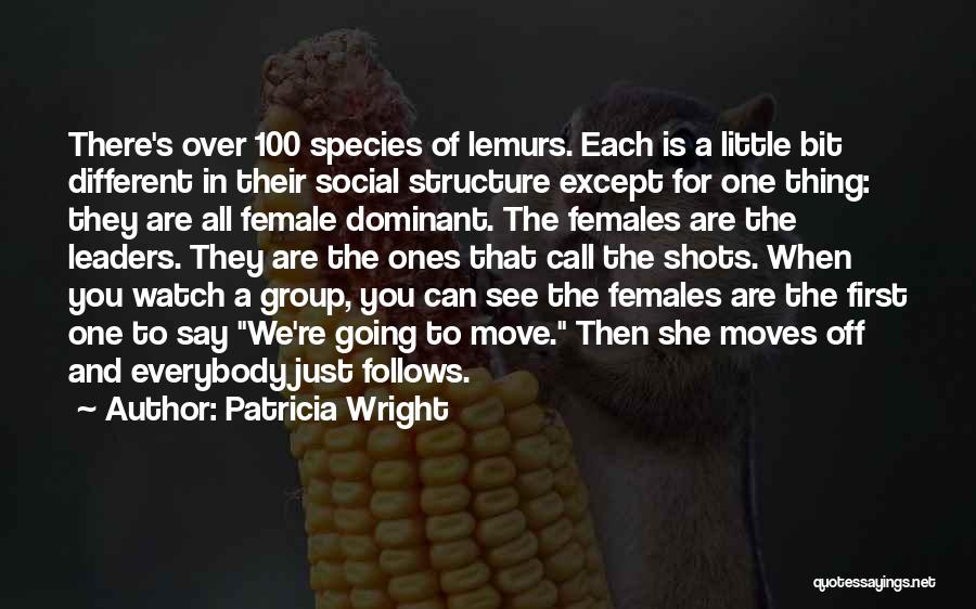 Patricia Wright Quotes: There's Over 100 Species Of Lemurs. Each Is A Little Bit Different In Their Social Structure Except For One Thing: