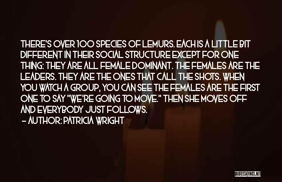 Patricia Wright Quotes: There's Over 100 Species Of Lemurs. Each Is A Little Bit Different In Their Social Structure Except For One Thing: