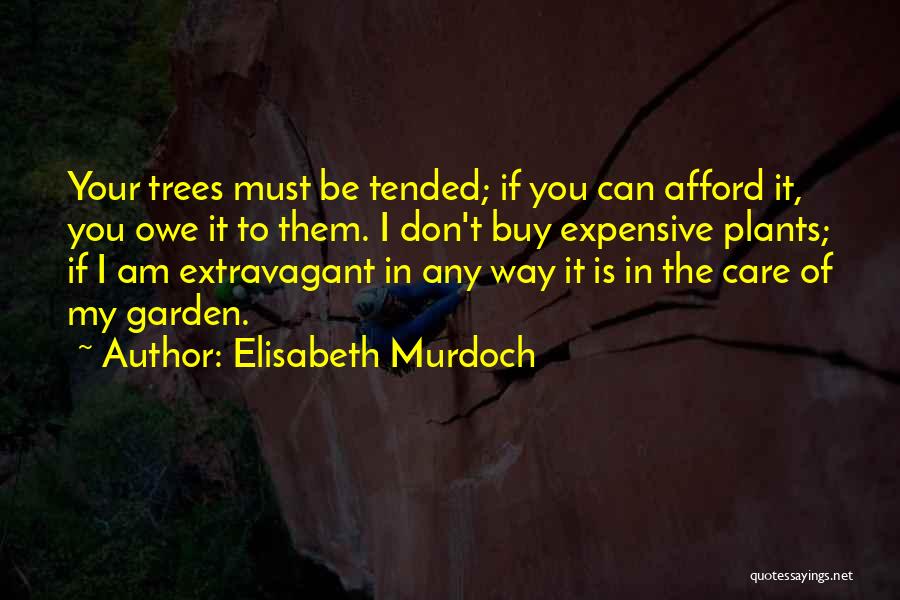 Elisabeth Murdoch Quotes: Your Trees Must Be Tended; If You Can Afford It, You Owe It To Them. I Don't Buy Expensive Plants;