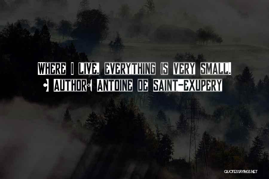 Antoine De Saint-Exupery Quotes: Where I Live, Everything Is Very Small.