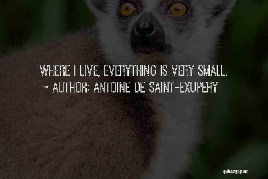 Antoine De Saint-Exupery Quotes: Where I Live, Everything Is Very Small.