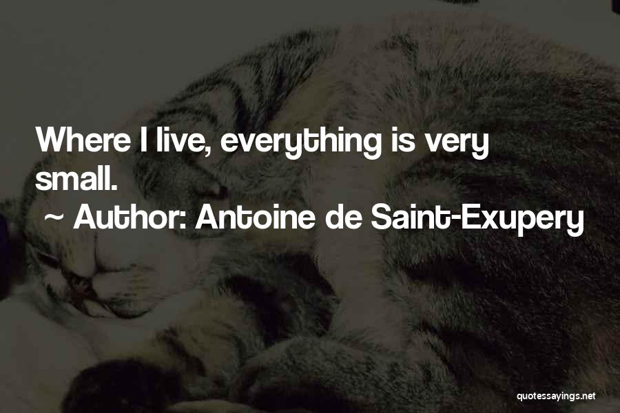 Antoine De Saint-Exupery Quotes: Where I Live, Everything Is Very Small.