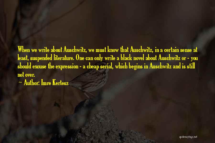 Imre Kertesz Quotes: When We Write About Auschwitz, We Must Know That Auschwitz, In A Certain Sense At Least, Suspended Literature. One Can