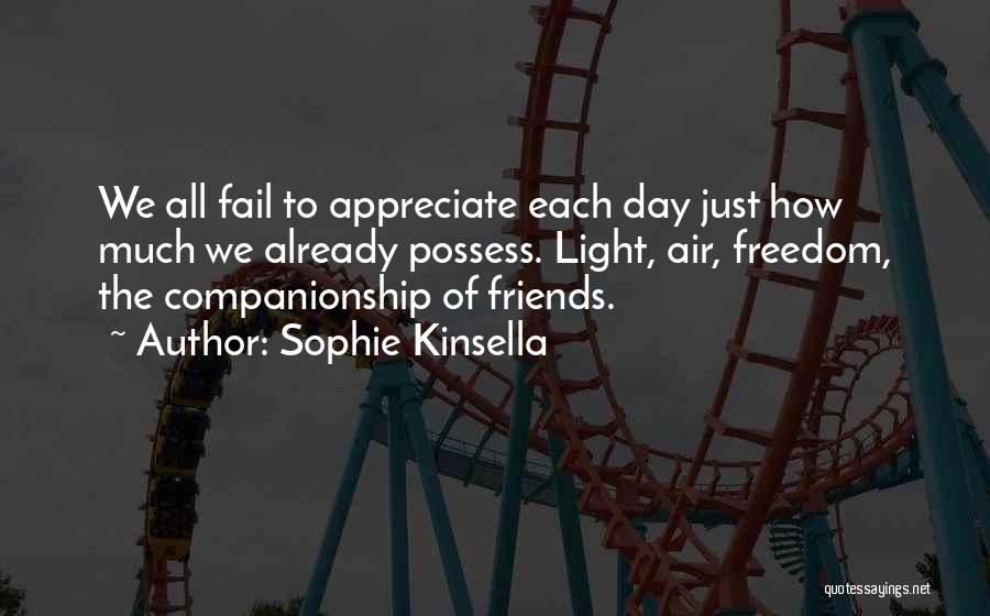 Sophie Kinsella Quotes: We All Fail To Appreciate Each Day Just How Much We Already Possess. Light, Air, Freedom, The Companionship Of Friends.