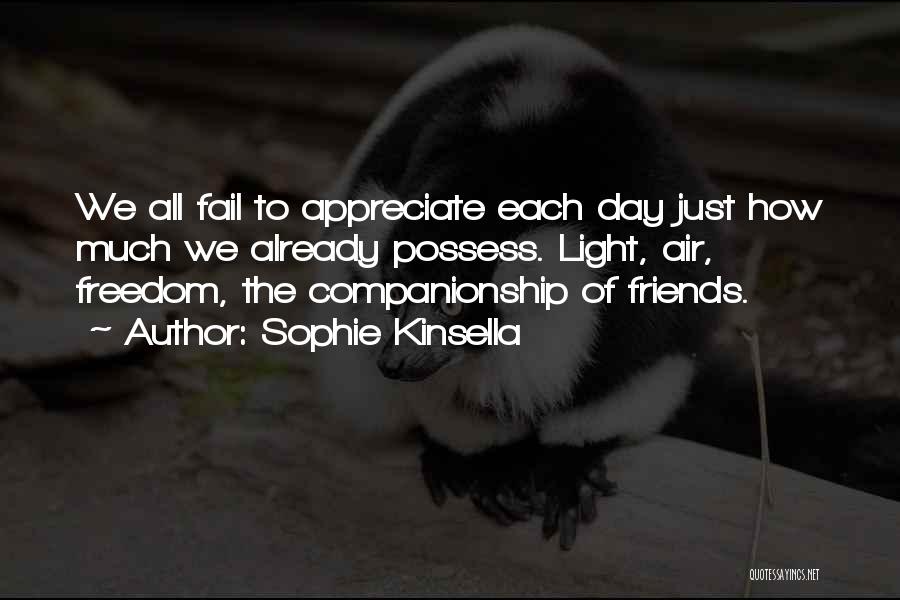 Sophie Kinsella Quotes: We All Fail To Appreciate Each Day Just How Much We Already Possess. Light, Air, Freedom, The Companionship Of Friends.