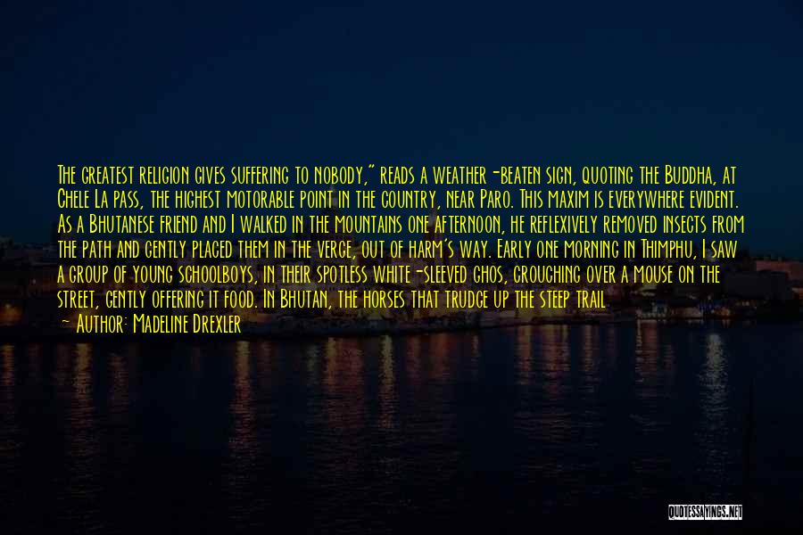 Madeline Drexler Quotes: The Greatest Religion Gives Suffering To Nobody, Reads A Weather-beaten Sign, Quoting The Buddha, At Chele La Pass, The Highest
