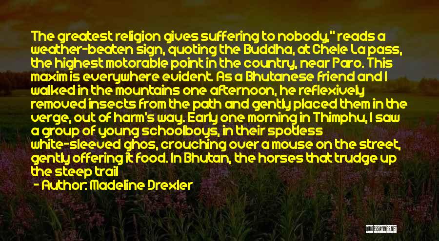 Madeline Drexler Quotes: The Greatest Religion Gives Suffering To Nobody, Reads A Weather-beaten Sign, Quoting The Buddha, At Chele La Pass, The Highest