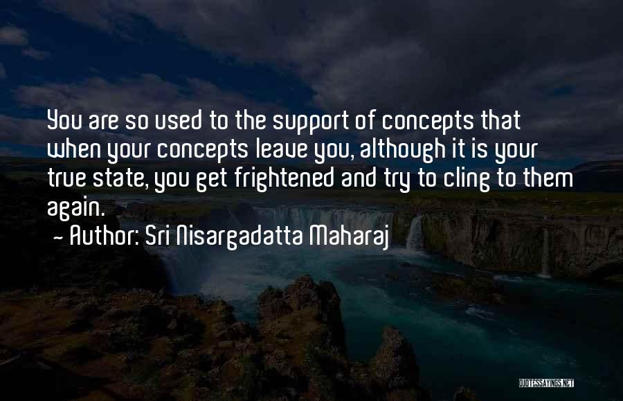 Sri Nisargadatta Maharaj Quotes: You Are So Used To The Support Of Concepts That When Your Concepts Leave You, Although It Is Your True