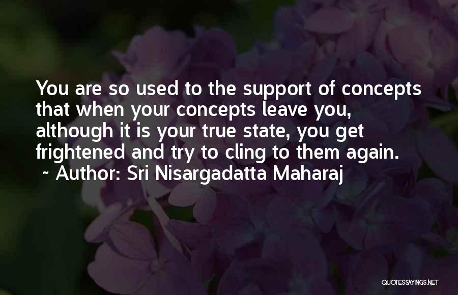 Sri Nisargadatta Maharaj Quotes: You Are So Used To The Support Of Concepts That When Your Concepts Leave You, Although It Is Your True