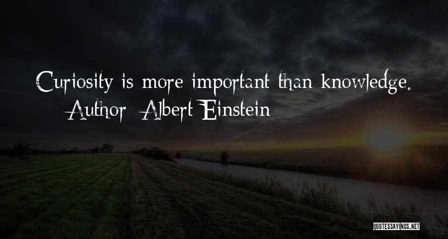 Albert Einstein Quotes: Curiosity Is More Important Than Knowledge.