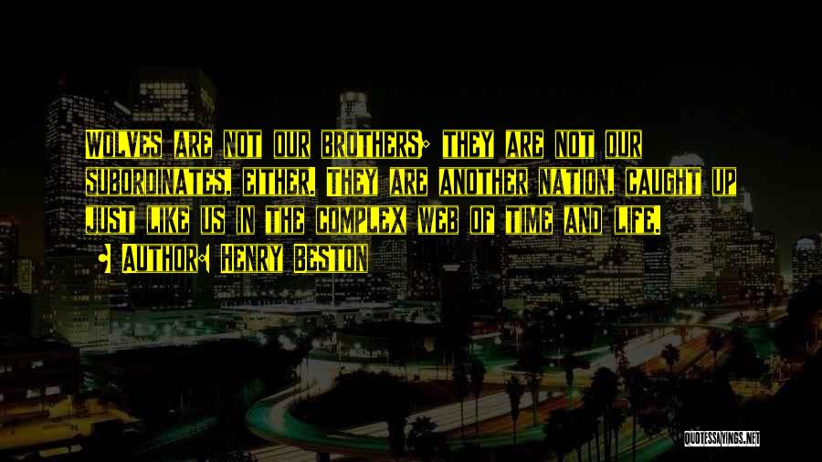 Henry Beston Quotes: Wolves Are Not Our Brothers; They Are Not Our Subordinates, Either. They Are Another Nation, Caught Up Just Like Us