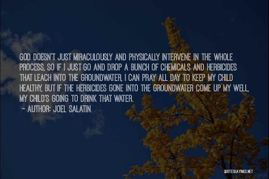 Joel Salatin Quotes: God Doesn't Just Miraculously And Physically Intervene In The Whole Process, So If I Just Go And Drop A Bunch