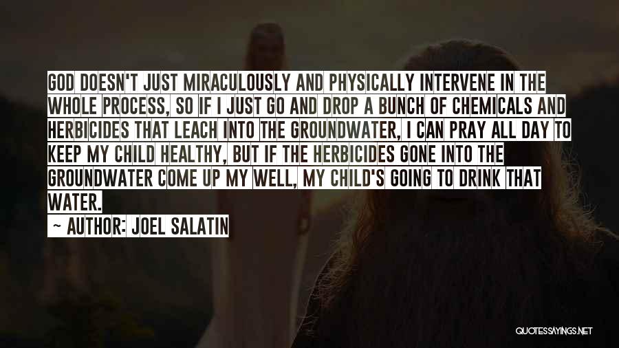 Joel Salatin Quotes: God Doesn't Just Miraculously And Physically Intervene In The Whole Process, So If I Just Go And Drop A Bunch